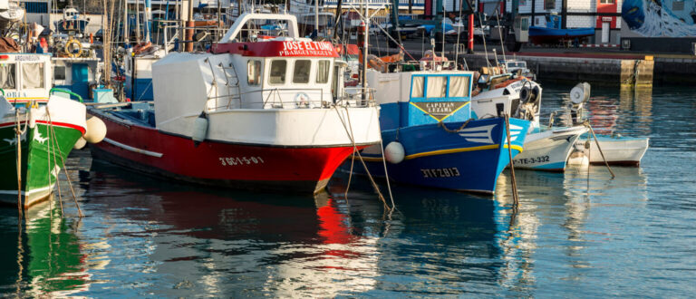 Puerto de Arguineguin 2 1 768x330