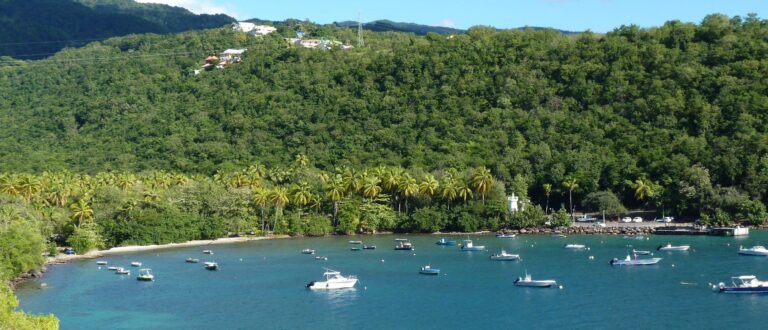 vue d ensemble de l anse 1 768x330