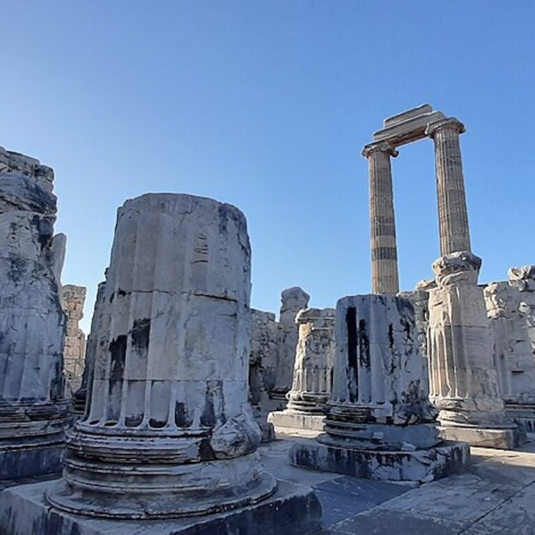 Photo courtesy of <a href="https://commons.wikimedia.org/wiki/File:The_Temple_of_Apollo_at_Didim.jpg">Hamed Kholdi</a>