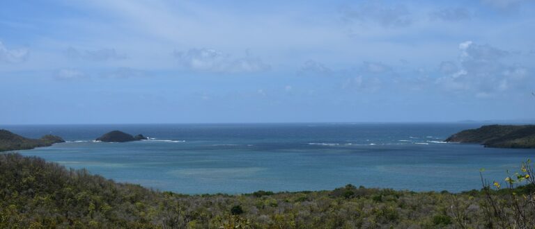 2048px Baie du Tresor   Martinique 768x330