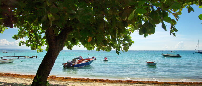 GUAD sainte anne strand 768x330