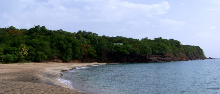 Plage de Petite Anse Deshaies 768x330